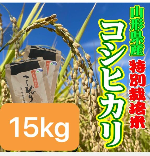 sei様用　お米　コシヒカリ15kg 特別栽培米　山形県産　甘くてふっくら