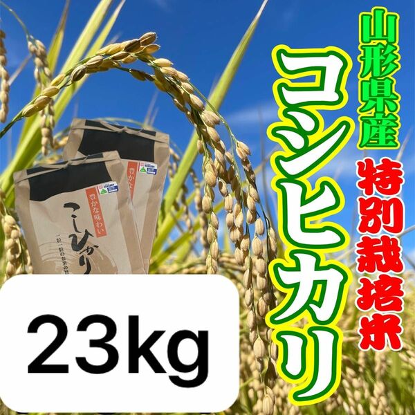 なかしま様　お米　コシヒカリ23kg 特別栽培米　山形県産　甘くてふっくら