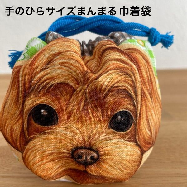 手のひらサイズまんまる巾着袋 キャバリア?マルプー?ちゃん コヤンイサムチョン ハンドメイド