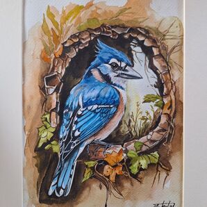 水彩画 美しい鳥BlueJay