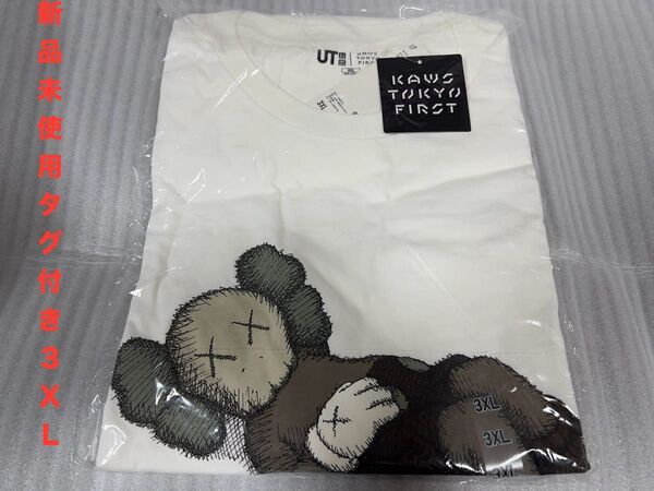 ☆新品未使用☆UNIQLO ×KAWS UTユニクロ×カウズ コラボ 3XL