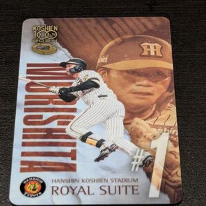 2024年度 甲子園ロイヤルスイート入場カード(使用済)