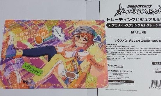 BanG Dream! バンドリ!ガールズバンドパーティ! トレーディングビジュアルシート 北沢はぐみ ハ2