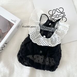 【新品】ガーリーシースルーワンピース 犬服 ブラック 春夏