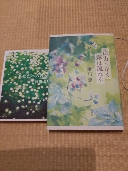 唯川 恵 途方もなく霧は流れる あなたへの日々