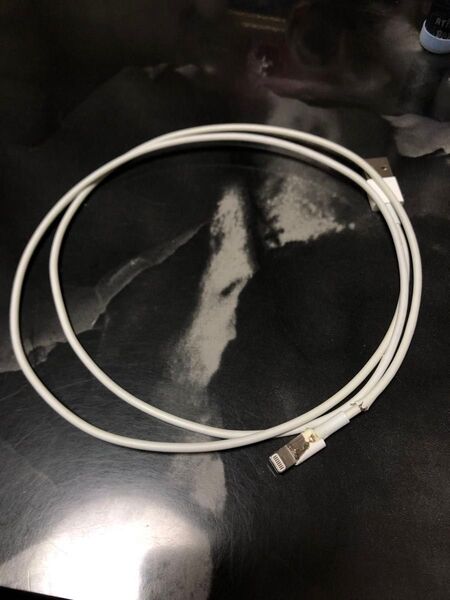 iPhone 正規品充電コード 1.5m