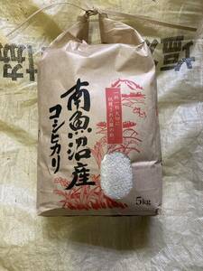  бесплатная доставка R5 юг рыба болото производство Koshihikari специальный культивирование рис белый рис 5kg. пестициды иметь машина удобрение сельское хозяйство дом гарантия иметь рис термос рис . хранение 