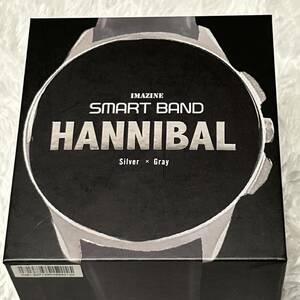 [ новый товар ]HANNIBAL Silver×Gray SB40 SMART BAND смарт-часы рукоятка ni bar wifi подключение Bluetooth подключение 4G PayPay