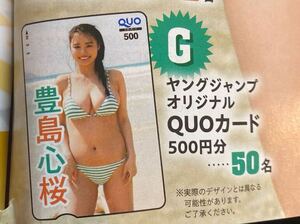 即決!!　週刊ヤングジャンプ　27号 豊島心桜QUOカードなどが当たる応募用紙１枚