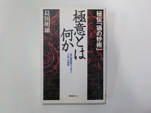 4E0050◆極意とは何か 秘伝「猫の妙術」 武の奥義書から学ぶ人生の極意 島田明徳 BABジャパン出版局☆