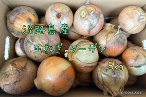 【淡路島産】玉ねぎ ターザン 無農薬栽培 5kg