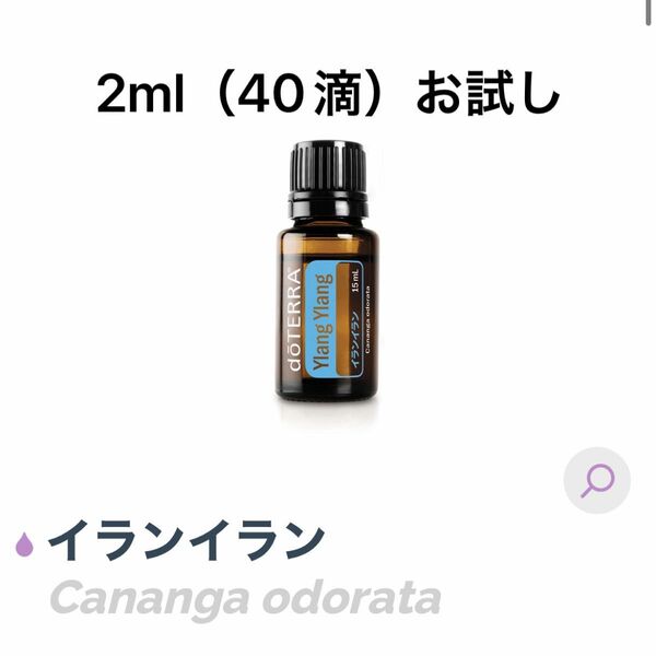 doTERRA ドテラ　イランイラン　お試し　2ml