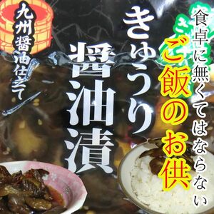 宮崎の漬物 きゅうり醤油漬 100g×1袋 ご飯のお供 宮崎県産きゅうり おにぎり おかず カレーライスの付合せ お茶うけお酒の肴