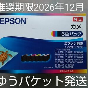 《迅速発送》【新品・未使用】【エプソン】 カメ KAM-6CL 6色パック 【 純正】インク EPSON インクカートリッジ