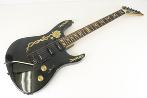 FERNANDES フェルナンデス ギター LIMITED EDITION リミテッドエディション ELECTRIC SOUND RESEARCH GROUP ブラック 弦楽器 030IWIIB57