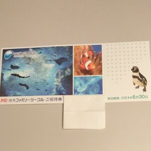 新江ノ島水族館チケット★招待券（複数枚対応可能）