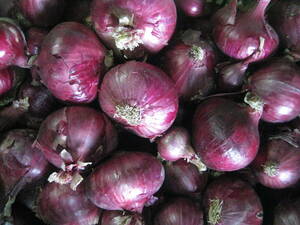  south ... production *. raw red onion * with translation 5 kilo ( box weight .. not ) agriculture house direct delivery (*^o^*)