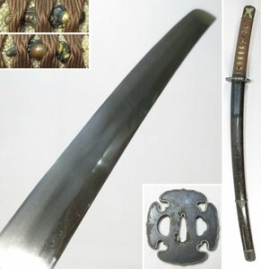 【G2573】武具 日本刀 刀剣 脇差 わきざし 無銘 44.4cm 半太刀拵 鉄地 銀覆輪 太刀鍔 赤銅魚々子地 金具一作 青貝入塗鞘