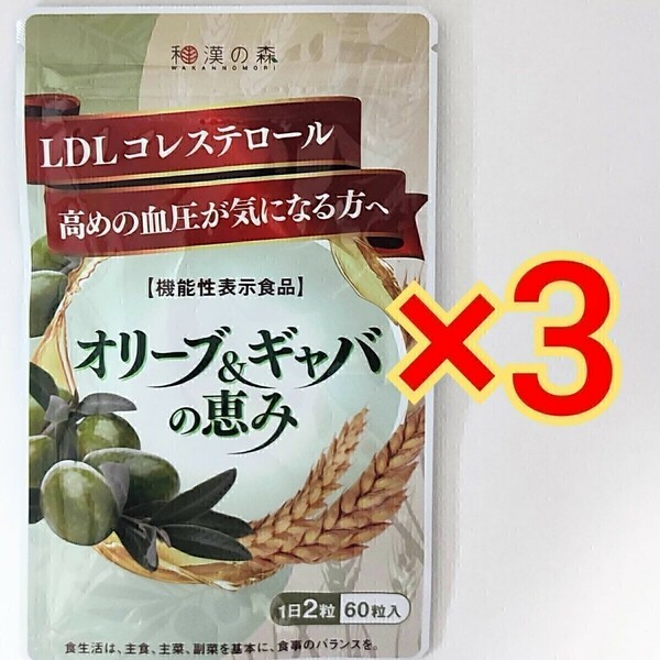 和漢の森　オリーブ＆ギャバの恵み　60粒 ×3袋　GABA 血圧 コレステロール ギャバ サプリ オリーブ ストレス ストレス サプリメント