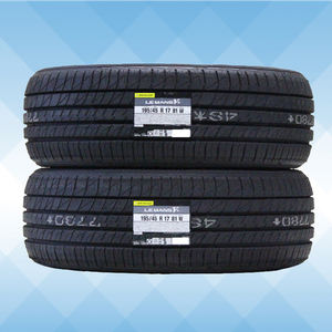 195/45R17 81W DUNLOP ダンロップ LE MANS V＋ 5＋ ルマン 5 プラス 24年製 正規品 送料無料 2本セット税込 \33,900 より 2