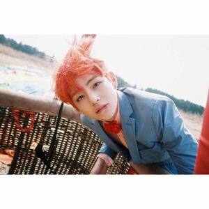 BTS テテ L判フォト 写真 No.253