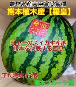 熊本産【羅皇】優品Lサイズ（1玉6〜7kg）熊本フルーツ堂42