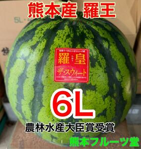  очень большой! Kumamoto производство [..] super товар 6L размер (1 шар 11~12kg) Kumamoto фрукты .34