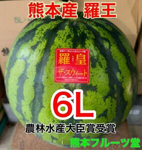 熊本産【羅皇】優品5Lサイズ（1玉11〜12kg）熊本フルーツ堂14