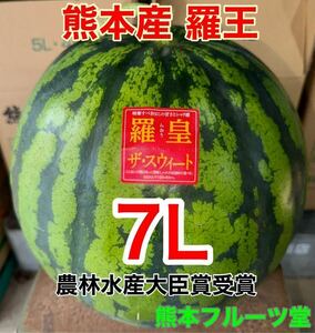 熊本産【羅皇】優品7Lサイズ（1玉12〜13kg）熊本フルーツ堂49