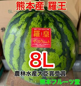 熊本産【羅皇】優品8Lサイズ（1玉13〜14kg）熊本フルーツ堂50