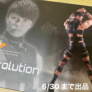 バンダイ (BANDAI) S.H.Figuarts T.M.Revolution 西川貴教