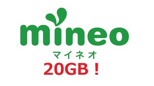 【即決匿名】mineo マイネオ　パケットギフト約20GB(9999MB×2)
