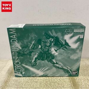 1円〜 MG 1/100 新機動戦記ガンダムW Endless Waltz アルトロンガンダム EW