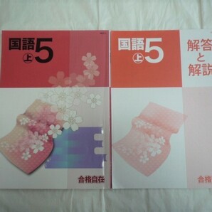 合格自在 国語 小学5年 上 中学受験
