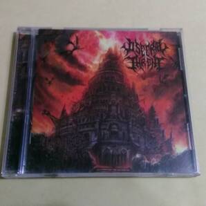 Visceral Throne ‐ Omnipotent Asperity☆Rotted Rebirth Engutturalment Cephaloslamectomy Inherit Disease Unmerciful Goratory