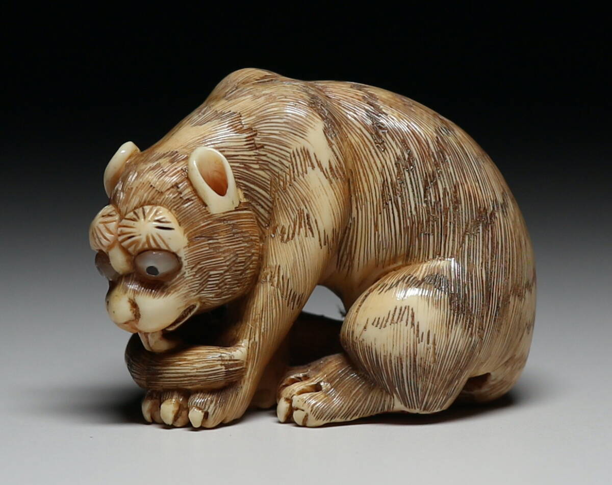 2025年最新】Yahoo!オークション -根付 マンモスの中古品・新品 2025年最新】Yahoo!オークション -根付 マンモスの中古品・新品