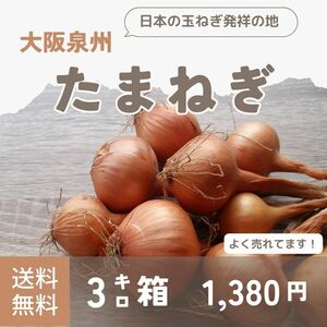 【新鮮】 【農家直送】玉ねぎ　約3.0kg　大阪泉州　泉州たまねぎ　おまけ