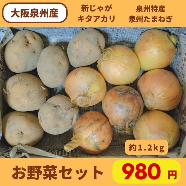  【農家直送】野菜セット　1.2kg 玉ねぎ　新じゃがいも　キタアカリ　大阪泉州