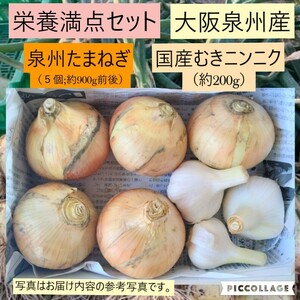  【新鮮】 【農家直送】野菜セット　玉ねぎ　にんにく　大阪泉州産　泉州たまねぎ