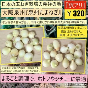 [ свежий ] [ сельское хозяйство дом прямая поставка ][ есть перевод ] шар лук порей Mini размер potof Osaka Izumi . производство Izumi . лук репчатый 
