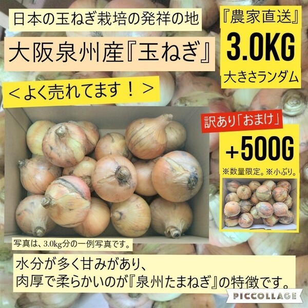 【新鮮】 【農家直送】玉ねぎ　約3.0kg　大阪泉州産　泉州たまねぎ　おまけ