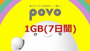 povo2.0　1GB　コード入力期限7/1 プロモコード①