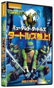 新品 ミュータント タートルズ タートルズ参上! 【DVD】 PJBF1252-HPM