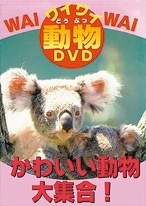 新品 かわいい動物大集合! (DVD) DKLA-1018-KEI