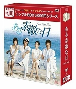 ある素敵な日 DVD-BOX(シンプルBOXシリーズ) 【DVD】 OPSDC115-SPO