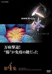 新品 NHKスペシャル 人体 神秘の巨大ネットワーク第4集 万病撃退!腸が免疫の鍵だった (DVD) NSDS-22985-NHK