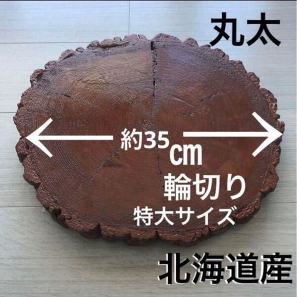 【 北海道産 】丸太 輪切り 特大サイズ ⑤