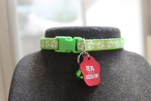 # dog cat necklace ; pad pattern [ green ]+ identification tag [ name inserting charge included ]