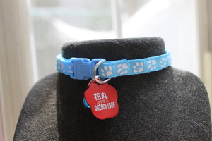 # dog cat necklace ; pad pattern [ light blue ]+ identification tag [ name inserting charge included ]