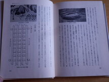 倭人の時代 村川行弘 他編 昭和59年3版 清文堂_画像10